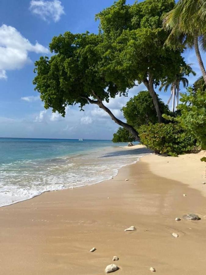 Westmoreland Hills - Mount Standfast - St James - Full Gym Membership Сент-Джеймс Экстерьер фото