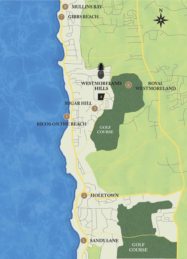 Westmoreland Hills - Mount Standfast - St James - Full Gym Membership Сент-Джеймс Экстерьер фото